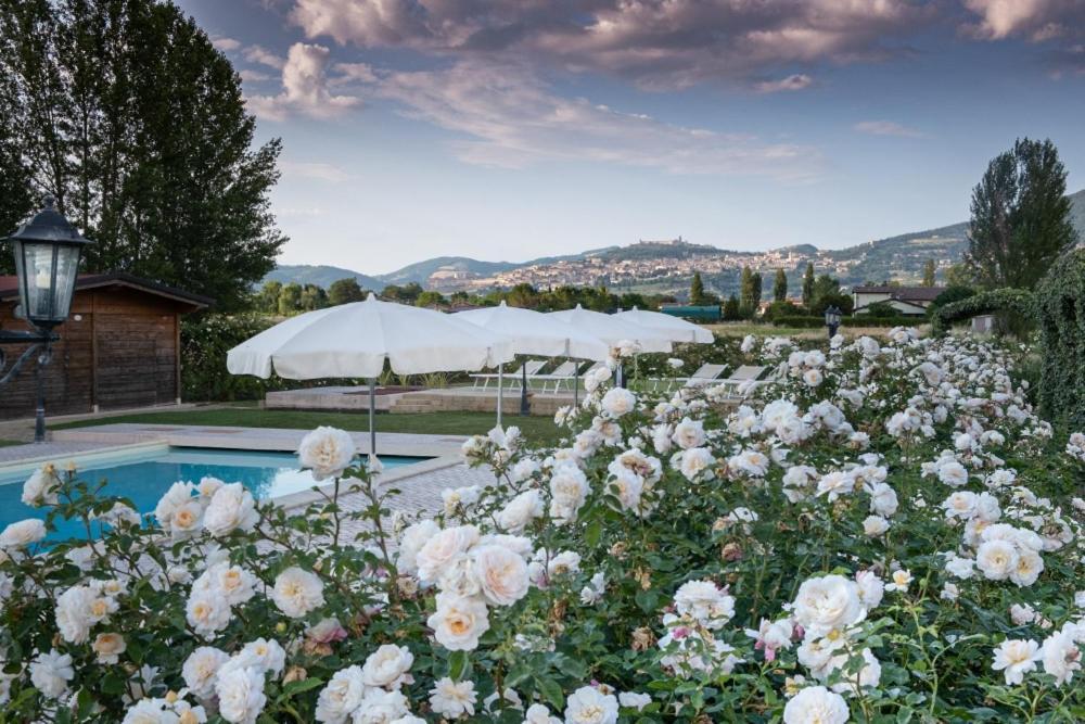 Il Fienile Di Assisi Vila Exterior foto