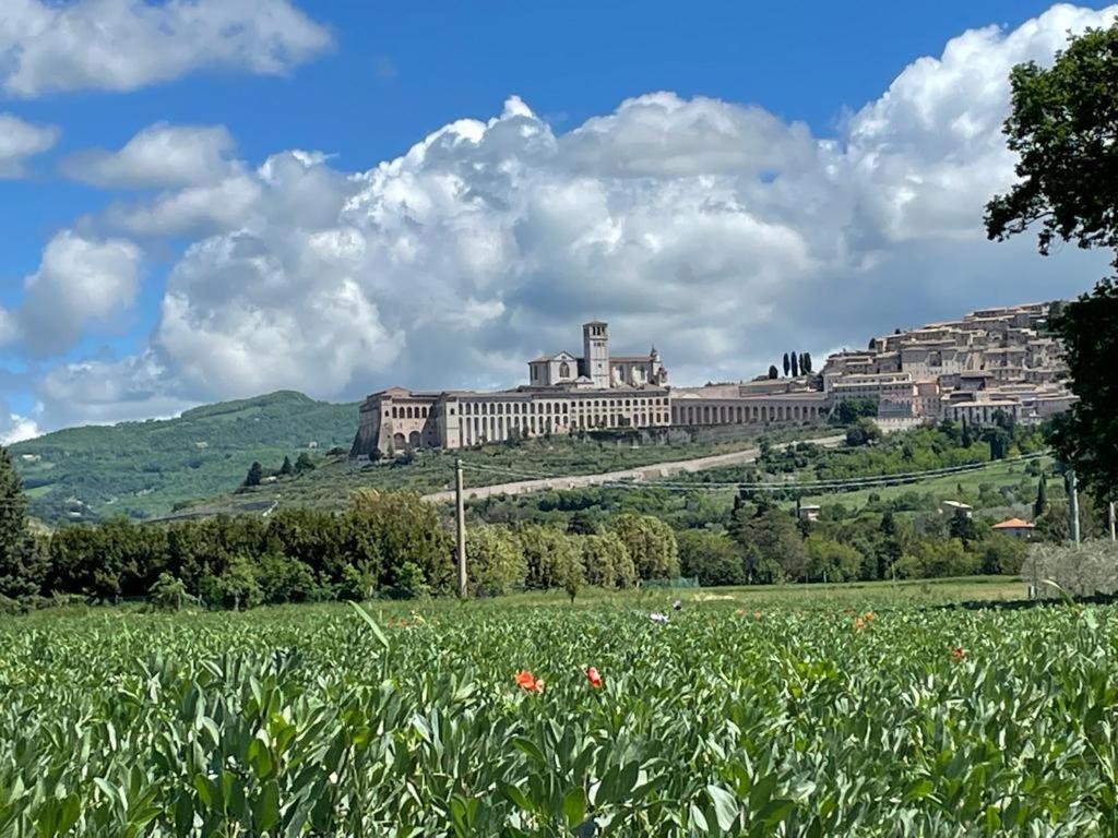 Il Fienile Di Assisi Vila Exterior foto