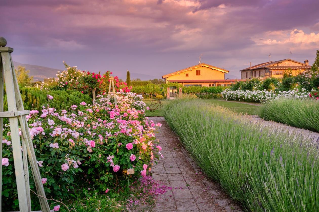 Il Fienile Di Assisi Vila Exterior foto