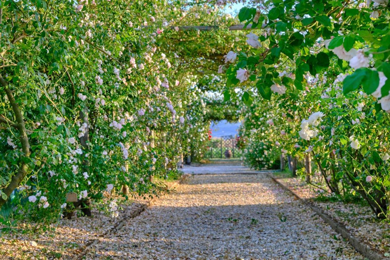 Il Fienile Di Assisi Vila Exterior foto