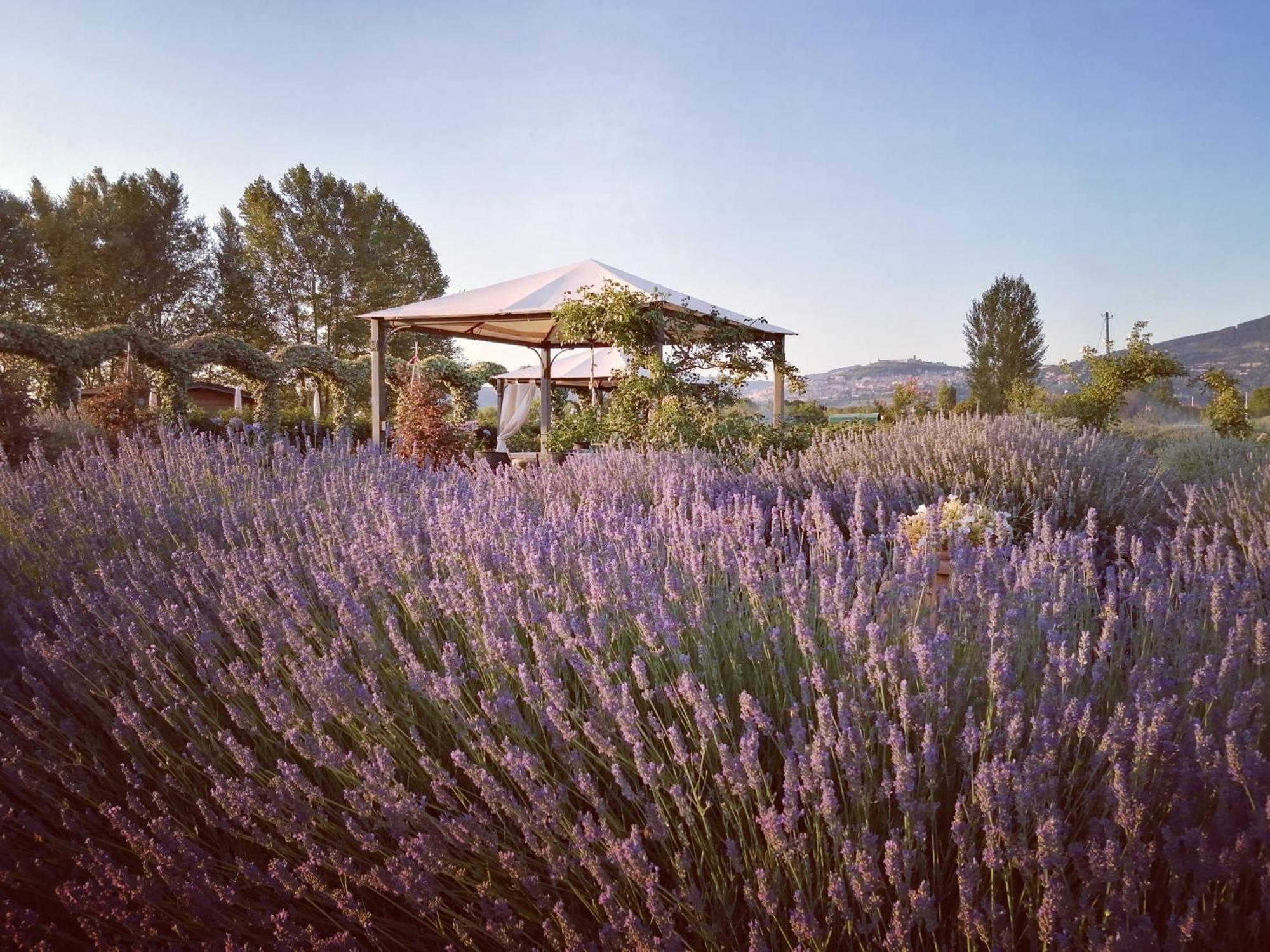 Il Fienile Di Assisi Vila Exterior foto