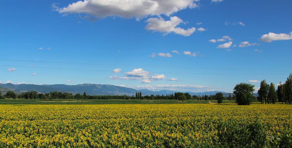 Il Fienile Di Assisi Vila Exterior foto