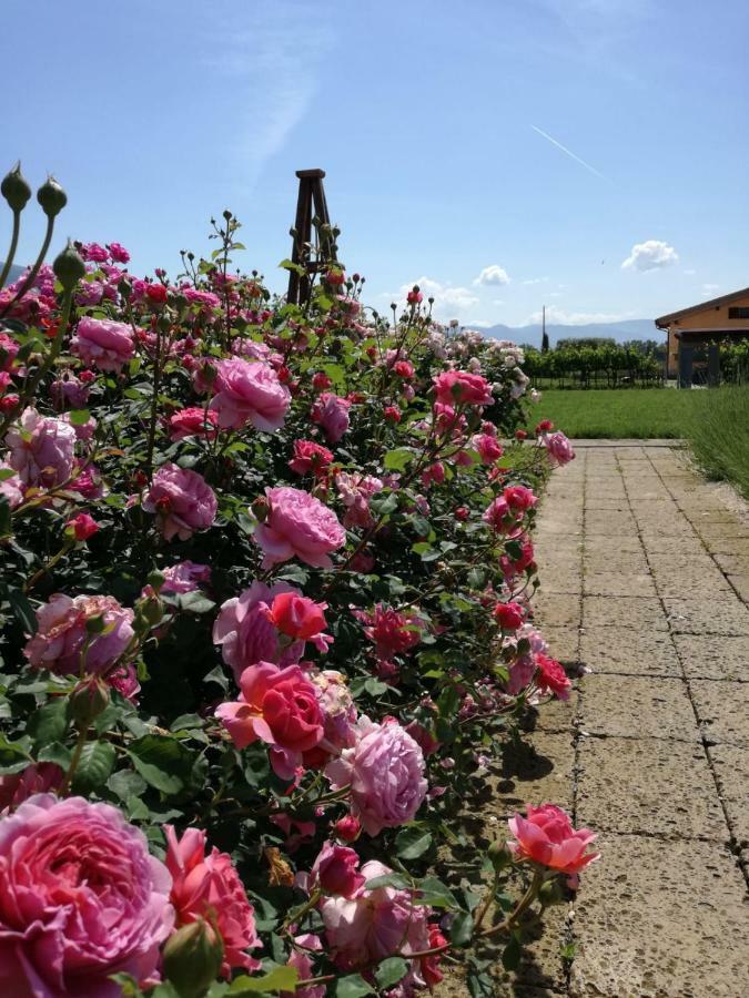 Il Fienile Di Assisi Vila Exterior foto